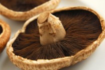portabello-mushrooms-fb